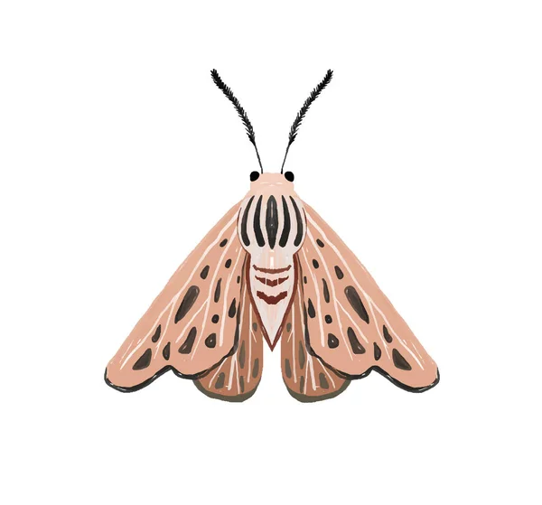 Hand Geschilderde Illustratie Met Heldere Vlinder Insectenclipart Decoratieve Vleugels Zomer — Stockfoto