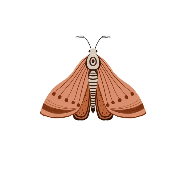Ručně Malované Ilustrace Jasným Motýlem Hmyzí Klima Dekorativní Křídla Letní — Stock fotografie