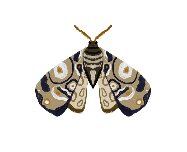 Hand Geschilderde Illustratie Met Heldere Vlinder Insectenclipart Decoratieve Vleugels Zomer — Stockfoto
