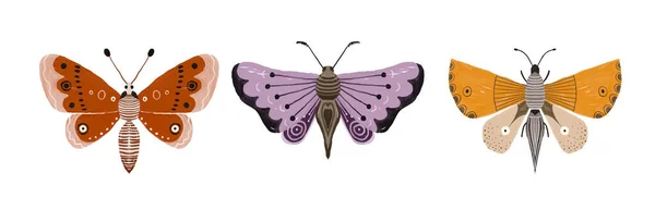 明るい蝶が付いている手描きのイラスト 昆虫クリップ 装飾的な翼 夏と春のイラスト — ストック写真