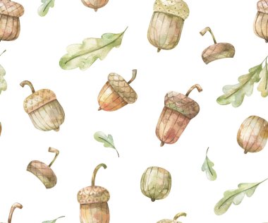 Meşe palamudu desenli suluboya. Meşe yaprağı ve meşe palamudu. Kusursuz bir geçmişi var. Elle boyanmış resimler asgari düzeyde. Merhaba sonbahar konsepti