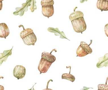 Meşe palamudu desenli suluboya. Meşe yaprağı ve meşe palamudu. Kusursuz bir geçmişi var. Elle boyanmış resimler asgari düzeyde. Merhaba sonbahar konsepti