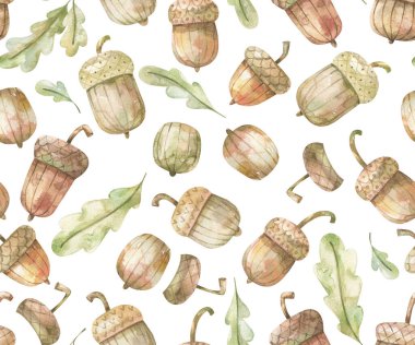 Meşe palamudu desenli suluboya. Meşe yaprağı ve meşe palamudu. Kusursuz bir geçmişi var. Elle boyanmış resimler asgari düzeyde. Merhaba sonbahar konsepti