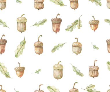 Meşe palamudu desenli suluboya. Meşe yaprağı ve meşe palamudu. Kusursuz bir geçmişi var. Elle boyanmış resimler asgari düzeyde. Merhaba sonbahar konsepti