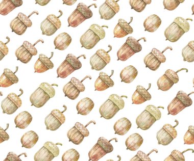 Meşe palamudu desenli suluboya. Meşe yaprağı ve meşe palamudu. Kusursuz bir geçmişi var. Elle boyanmış resimler asgari düzeyde. Merhaba sonbahar konsepti