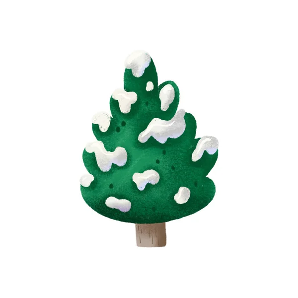 Çam Ağacı Çizimi Yeşil Noel Ağacı Dalları Karla Kaplı Sevimli — Stok fotoğraf
