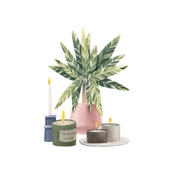 Hand-drawn illustration of a still life with calathea tricolor and candles of different shapes. Cozy home decor items. Isolated objects on white background