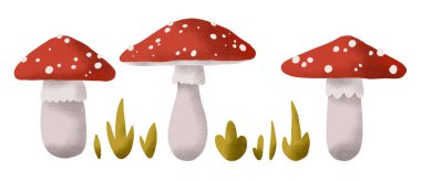 Kırmızı sineklerle ve çimen elementleriyle izole edilmiş. Sevimli bebek çizimi, yapışkan