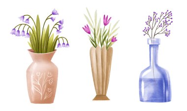Dekoratif vazolarda çiçek açan güzel bir çiçek seti. Vazoda bir buket. İzole edilmiş arka grupta el çizimi illüstrasyon