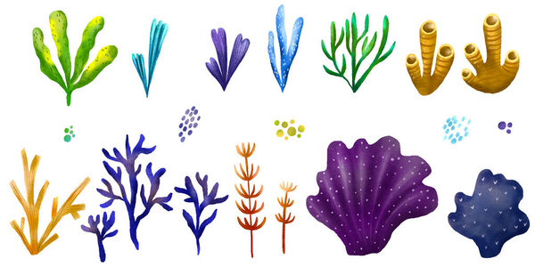 Marine set with algae and corals. Undersea world. Children's hand drawn illustration on isolated backgroun