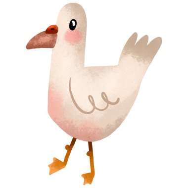 Martı. Deniz kuşu. Okyanusya ve fauna. İzole edilmiş arkaplanda elle çizilmiş illüstrasyon