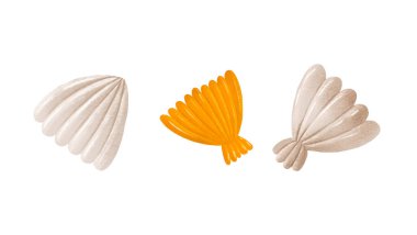 Deniz kabuğu ve mercan seti. İzole edilmiş arkaplanda elle çizilmiş illüstrasyon