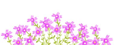 Bahar Mor kır çiçekleri harfler için başlık atıyor. Tebrik kartı. şablon. İzole edilmiş arka planda çiçek. El yapımı suluboya koleksiyonu. Yapraklı papatya