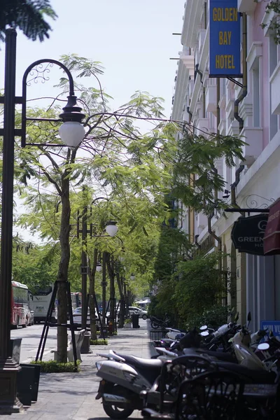 Ruhige Straße Bei Den Bäumen — Stockfoto