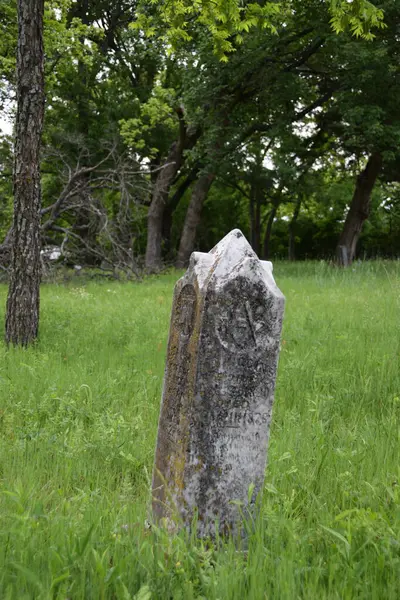 1800 'lü yıllardan kalma Özgür Mason mezar taşı Kuzey Teksas' ta uzun otlar ve ceviz ağaçları arasında