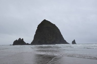 Saman Yığını Kaya Kuleleri Oregon sahilinin kumlu kumlu sahili üzerinde sisli bir günde.