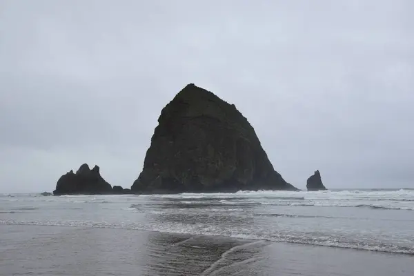 Saman Yığını Kaya Kuleleri Oregon sahilinin kumlu kumlu sahili üzerinde sisli bir günde.