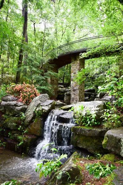 Bir Orman Köprüsü Altındaki Şelale