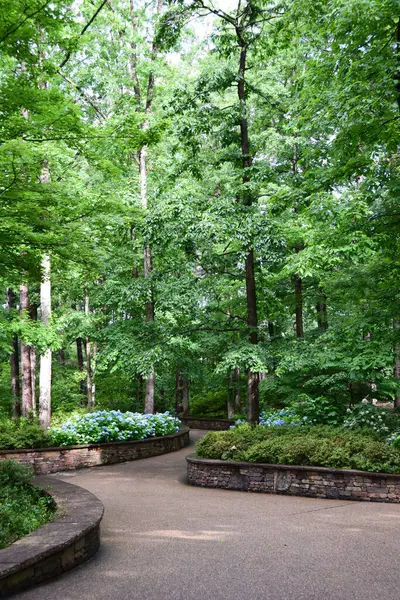 Ormandaki Mavi Orman Yürüyüş Yolu