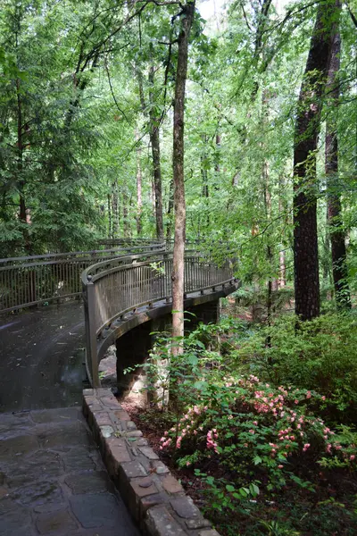 Bir Ormanın İçinden Geçen Köprü