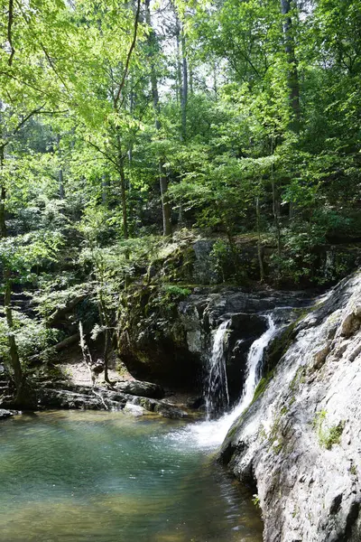 Falls Creek Şelalesi İlkbaharda Catherine Gölü Parkı 'nda.