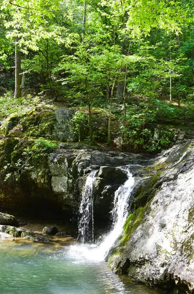 İlkbaharda Falls Creek Şelalesi 'nde Catherine Gölü' ndeki Arkansas Eyalet Parkı 'nda parlak yeşil ağaçlar
