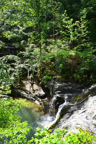 Falls Creek Şelaleleri yüksek ağaçlar ve berrak mavi sularla çevrili.