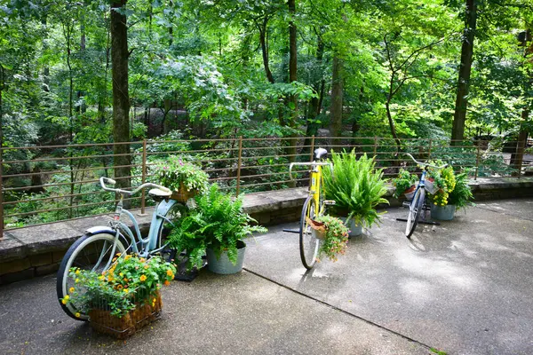 Üç bisiklet, 2 mavi ve 1 sarı, çiçeklerle ve eğreltiotlarıyla bir ormanın gölgesinde, Garvan Gardens 'ta bir korkuluğun yanındaki sepetlere dikilmiş.