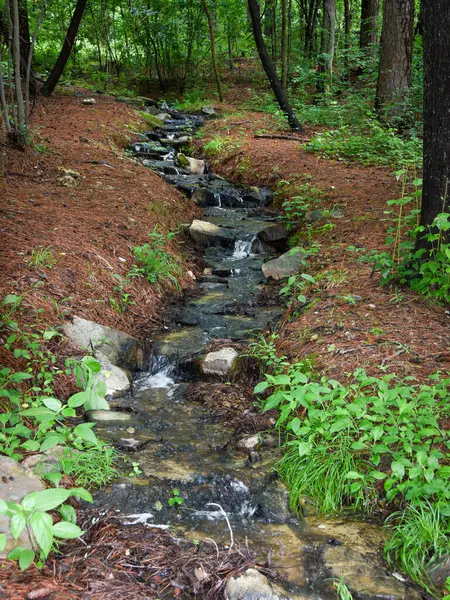 Orman ağaçlarının gölgesindeki bir dizi kayadan süzülen su