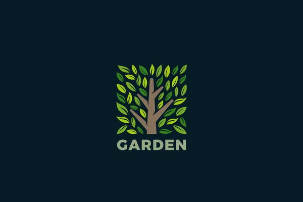 Tree Logo Square Shape Design Vector Sablon Park Garden Forest — Stock Vector