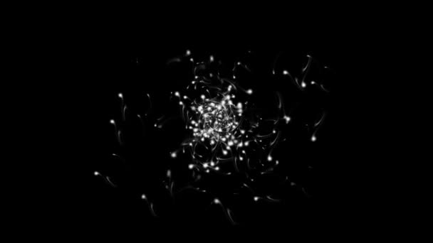 Bianco Particelle Polvere Grafica Movimento Con Sfondo Notturno — Video Stock