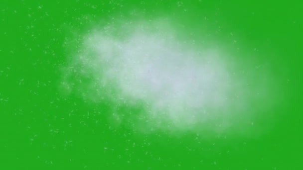 Biały Dym Pył Cząstek Zielony Ekran Ruchu Grafiki — Wideo stockowe