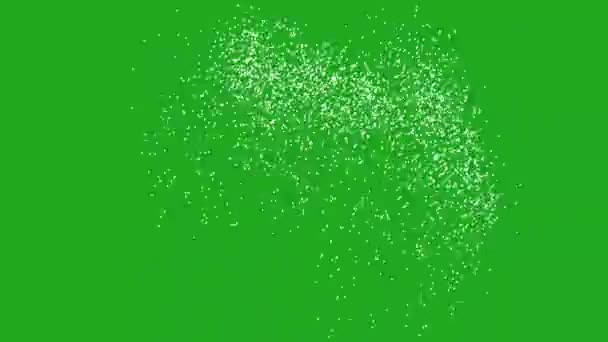 Graphiques de mouvement des oiseaux flottants avec fond vert