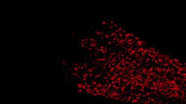 3D Ohm Sembolü Düşen Gül Yaprakları (124- Ruhani Konsept)
