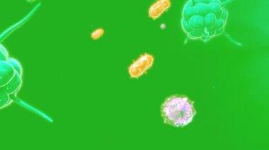 İnsan bağışıklık sistemini, vücut savunma mekanizmasını ve virüslerden ve bakterilerden korunmayı temsil eden yaratıcı bir çizim. Tıbbi, sağlık ve bilimsel projeler için kullanışlı.