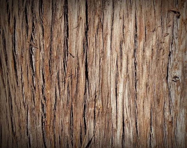Texture Fond Bois Simple — Photo