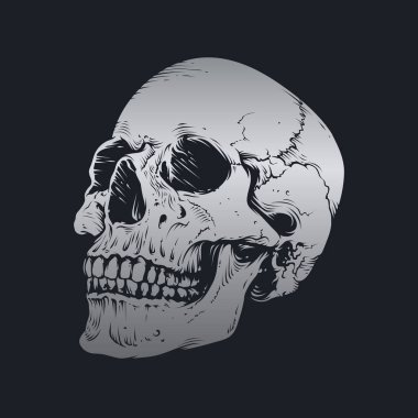 Kafatası ve kemik vektör tasarımı