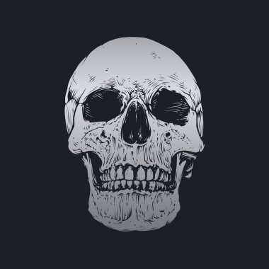 Kafatası ve kemik vektör tasarımı