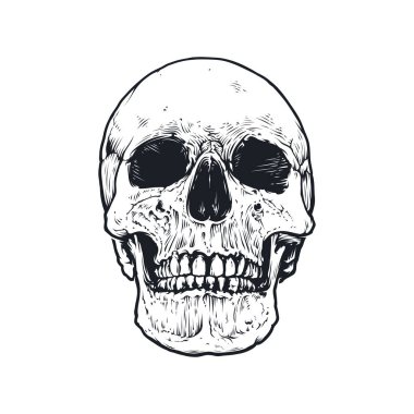 Kafatası ve kemik vektör tasarımı