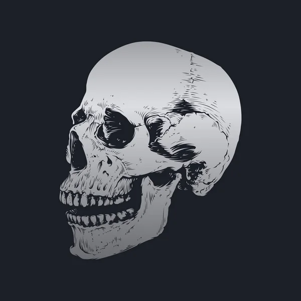 Conception Vectorielle Crâne Des — Image vectorielle