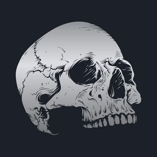 Disegno Vettoriale Cranio Ossa — Vettoriale Stock