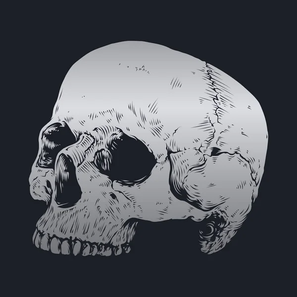 Desenho Vetor Crânio Ossos —  Vetores de Stock