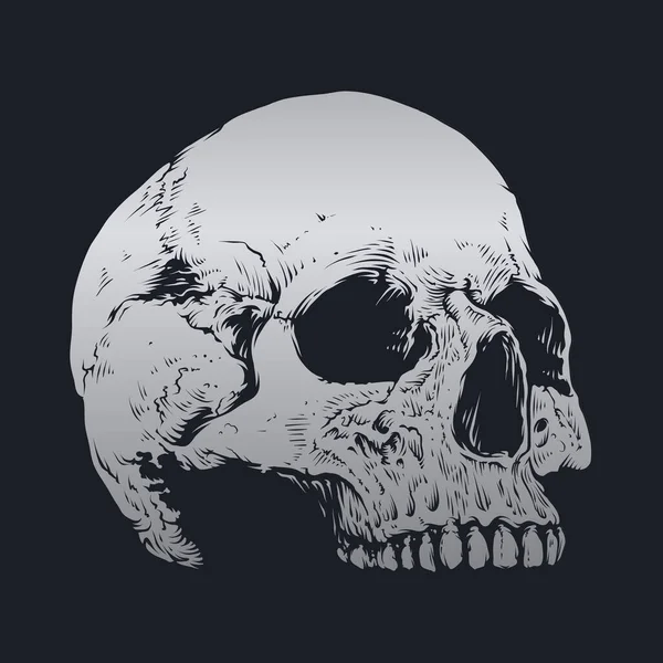 Diseño Vectorial Cráneo Huesos — Vector de stock