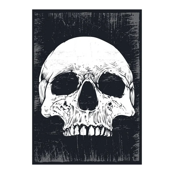 Poster Affiche Crâne — Image vectorielle