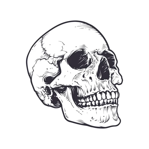 Disegno Vettoriale Cranio Ossa — Vettoriale Stock