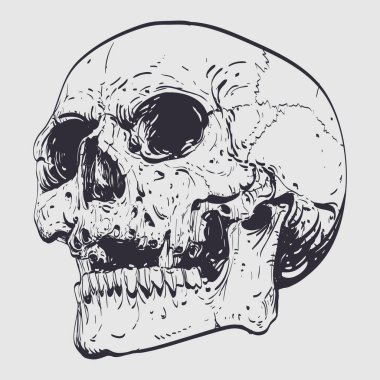 Kafatası ve kemik vektör tasarımı.