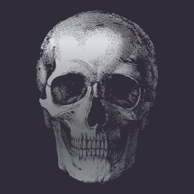 Kafatası ve kemik vektör tasarımı.