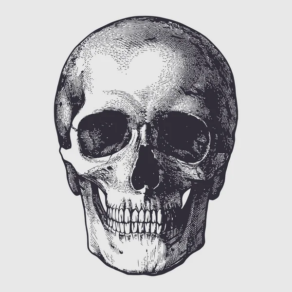 骷髅和骨骼病媒设计 — 图库矢量图片