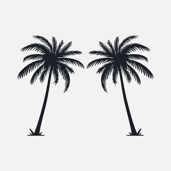 Palmiye Ağaçları Siluet Vektör Illüstrasyon — Stok Vektör