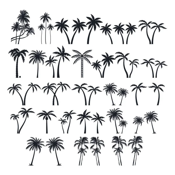 Palm Trees Silhouette Collection — Stock Vector